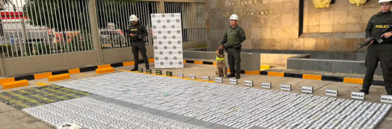 Hallan 885 kilos de cocaina escondidos en una pieza de