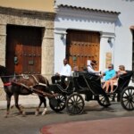 No utilizar animales en vehiculos de traccion para actividades turisticas