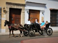 No utilizar animales en vehiculos de traccion para actividades turisticas