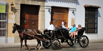 No utilizar animales en vehiculos de traccion para actividades turisticas