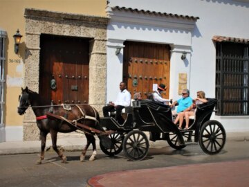 No utilizar animales en vehiculos de traccion para actividades turisticas