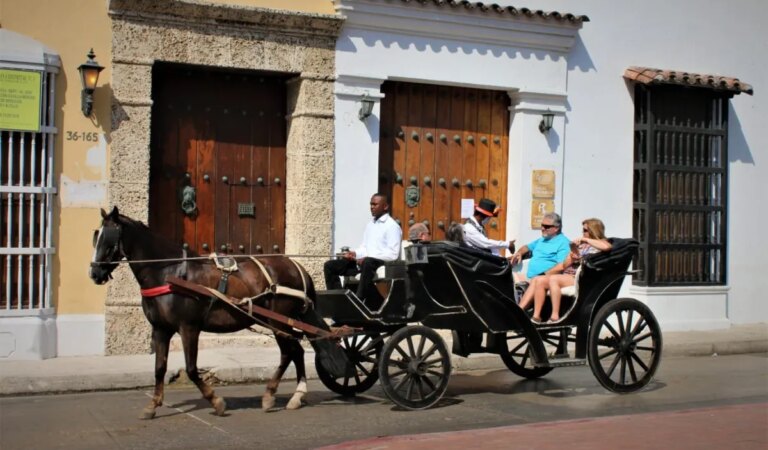 No utilizar animales en vehículos de tracción para actividades turísticas: decisión de la Corte Constitucional