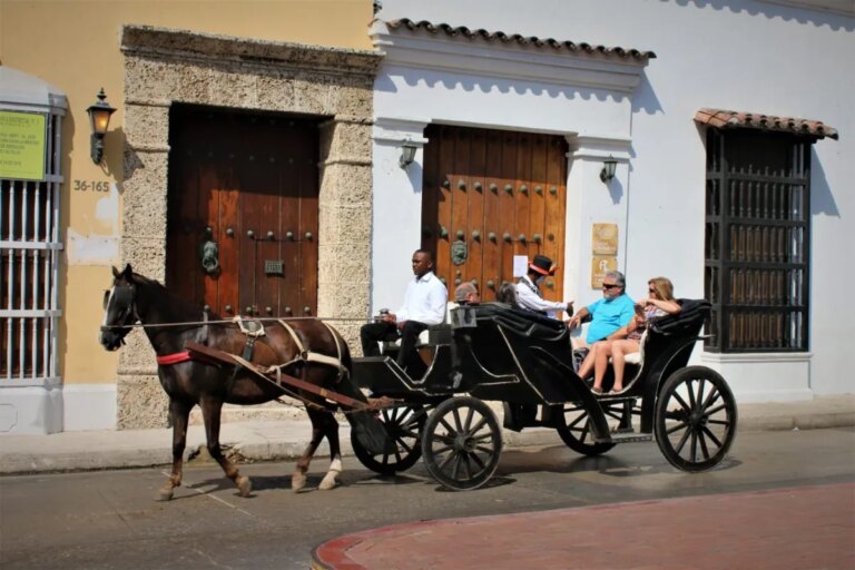 No utilizar animales en vehiculos de traccion para actividades turisticas