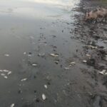 Peligrosa situacion de salud en San Rafael de Cortinas en