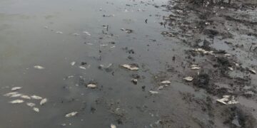 Peligrosa situacion de salud en San Rafael de Cortinas en