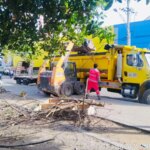 Recuperan franja de Manglar durante operativos de limpieza en la