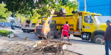 Recuperan franja de Manglar durante operativos de limpieza en la