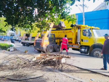 Recuperan franja de Manglar durante operativos de limpieza en la