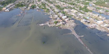 Se ordenan medidas de proteccion en la Cienaga de la