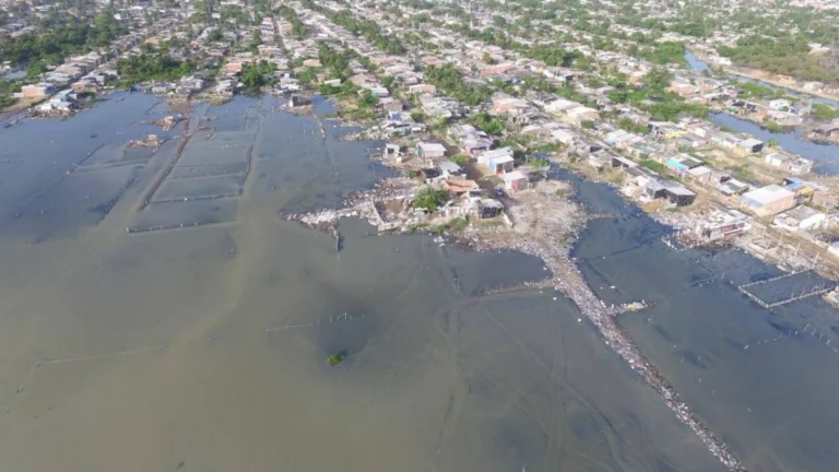 Se ordenan medidas de proteccion en la Cienaga de la