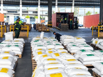 Incautan cargamento de droga valuado en mas de 42000 millones