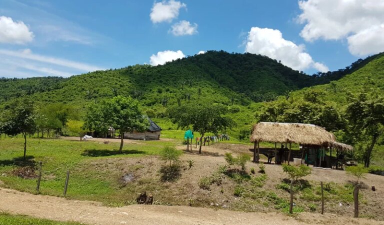 Líder campesino estaría utilizando el nombre de la Agencia de Tierras para estafar a personas en Bolívar